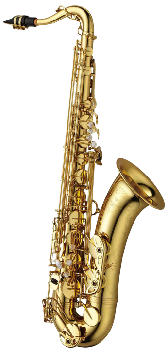 Saxophone Ténor Yanagisawa T-WO10