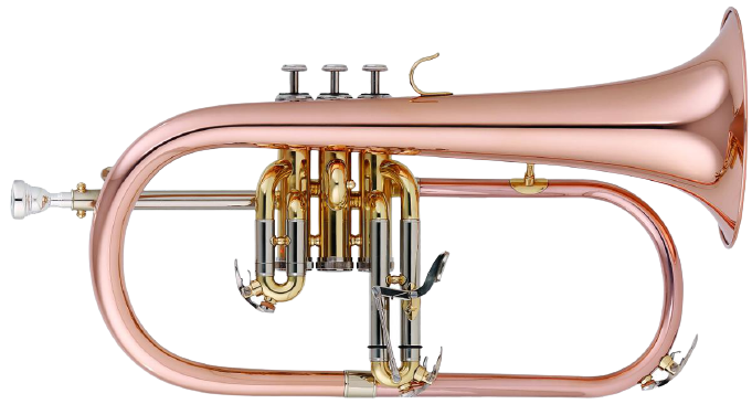 Bugle MTP Jazz FH-100GII