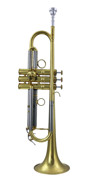 Trompette Sib Carol Brass PJL7L