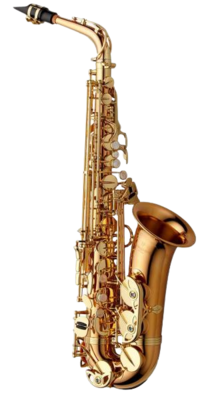Saxophone alto Yanagisawa A-WO2