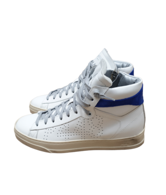Sneakers Taylor P448