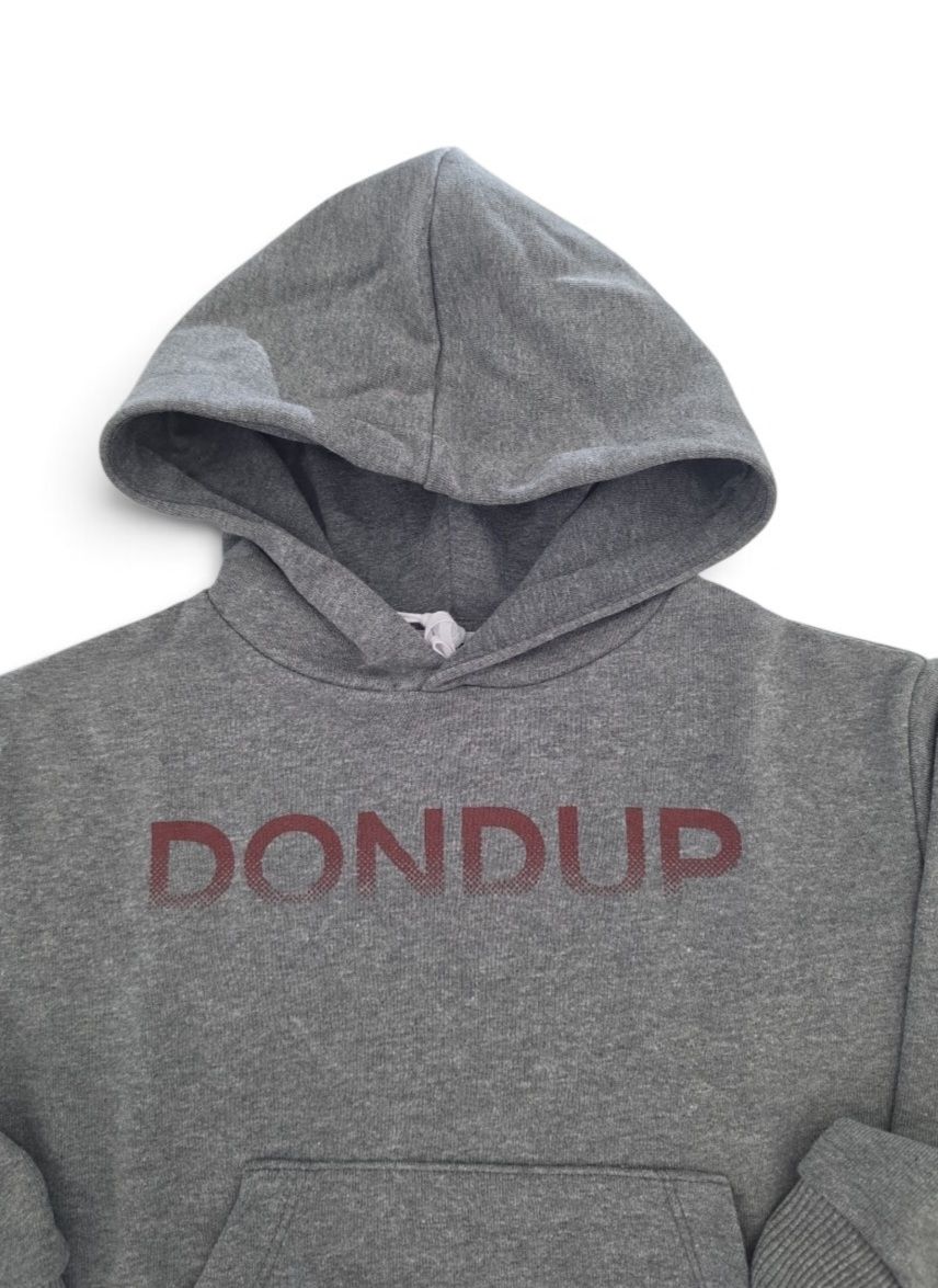 Felpa hoodie grigia DONDUP