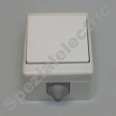 K03500100018 - Feuchtraum Aufputz-Schalter, 1-polig