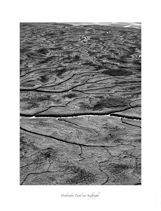 Vrij Werk 016- Land van Saeftinghe