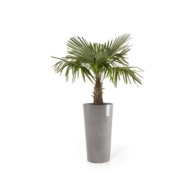 Ecopots Amsterdam Mid High 66 Taupe Ecopots Amsterdam Mid High 66 Taupe