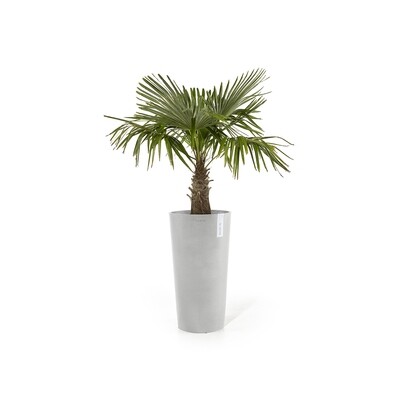 Ecopots Amsterdam Mid High 66 White Grey