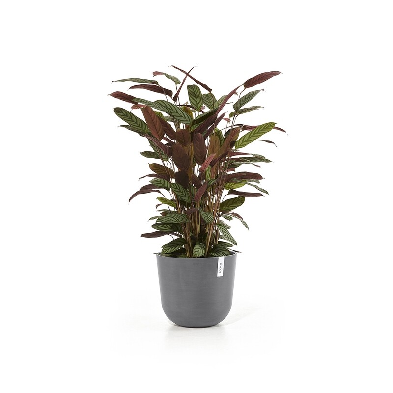 Ecopots Oslo 35 Grey