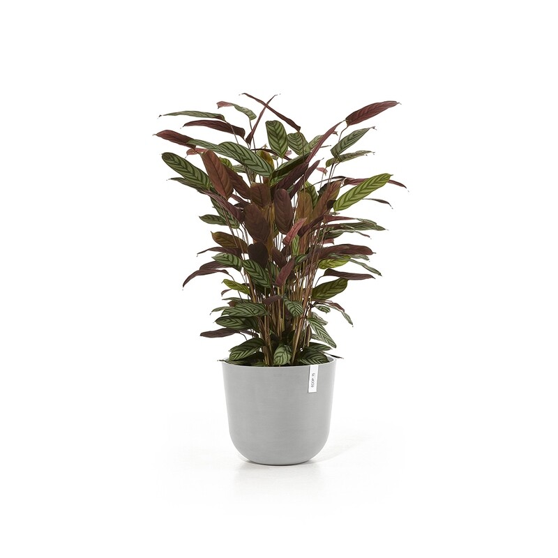 Ecopots Oslo 35 White Grey
