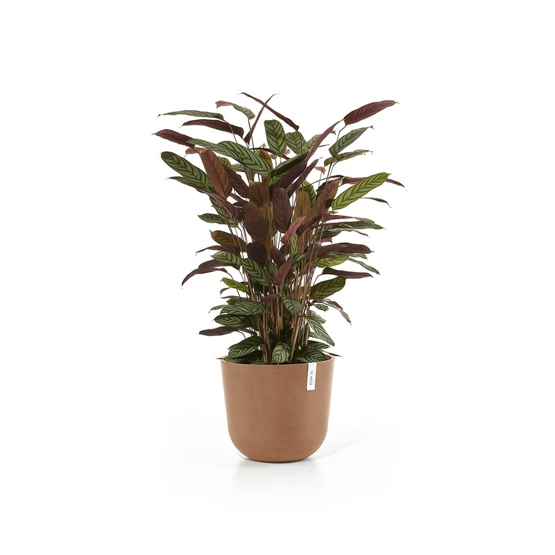 Ecopots Oslo 35 Terracotta