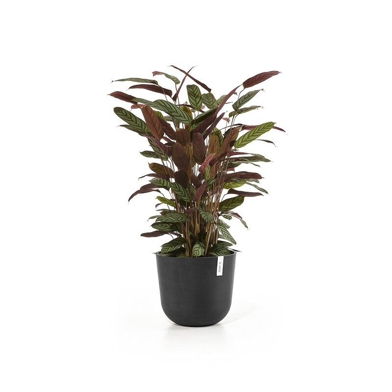 Ecopots Oslo 35 Dark Grey