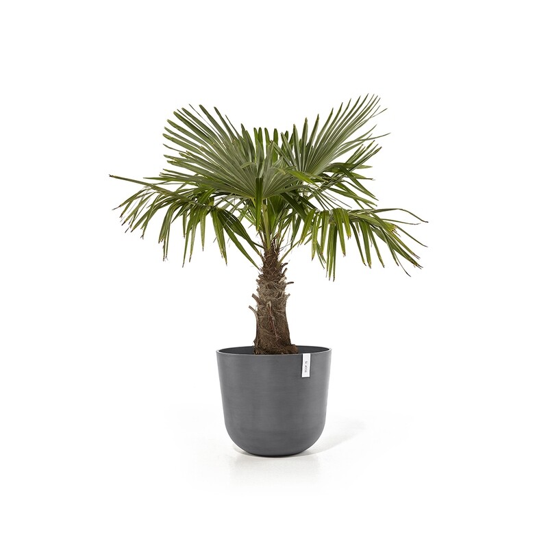 Ecopots Oslo 55 Grey