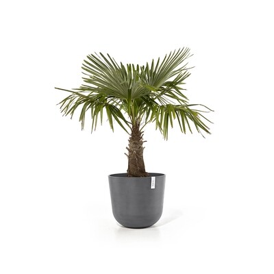Ecopots Oslo 55 Grey