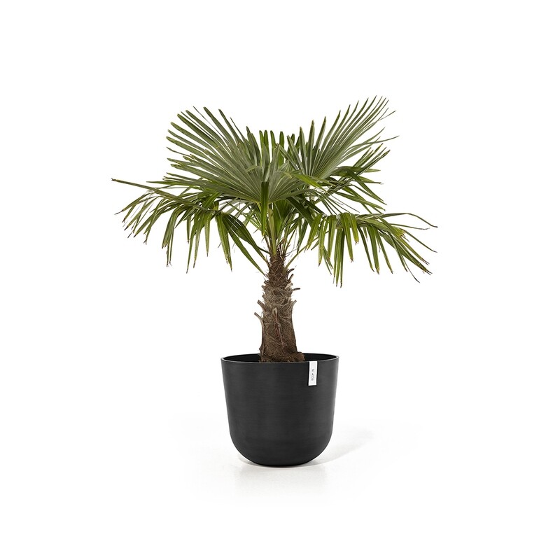 Ecopots Oslo 55 Dark Grey