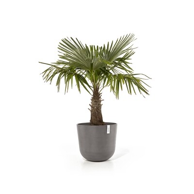 Ecopots Oslo 55 Taupe
