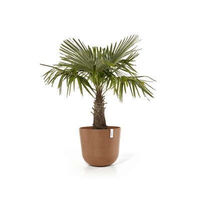 Ecopots Oslo 55 Terracotta + water reservoir