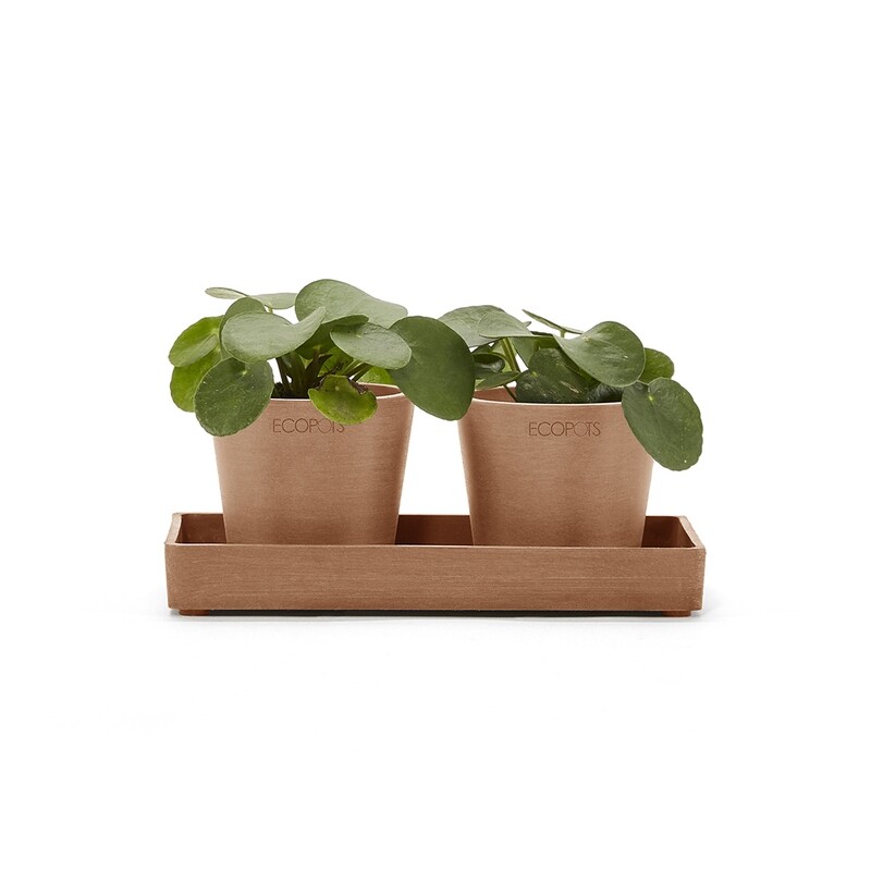 Ecopots Display Platter Amsterdam Mini 20 Terracotta