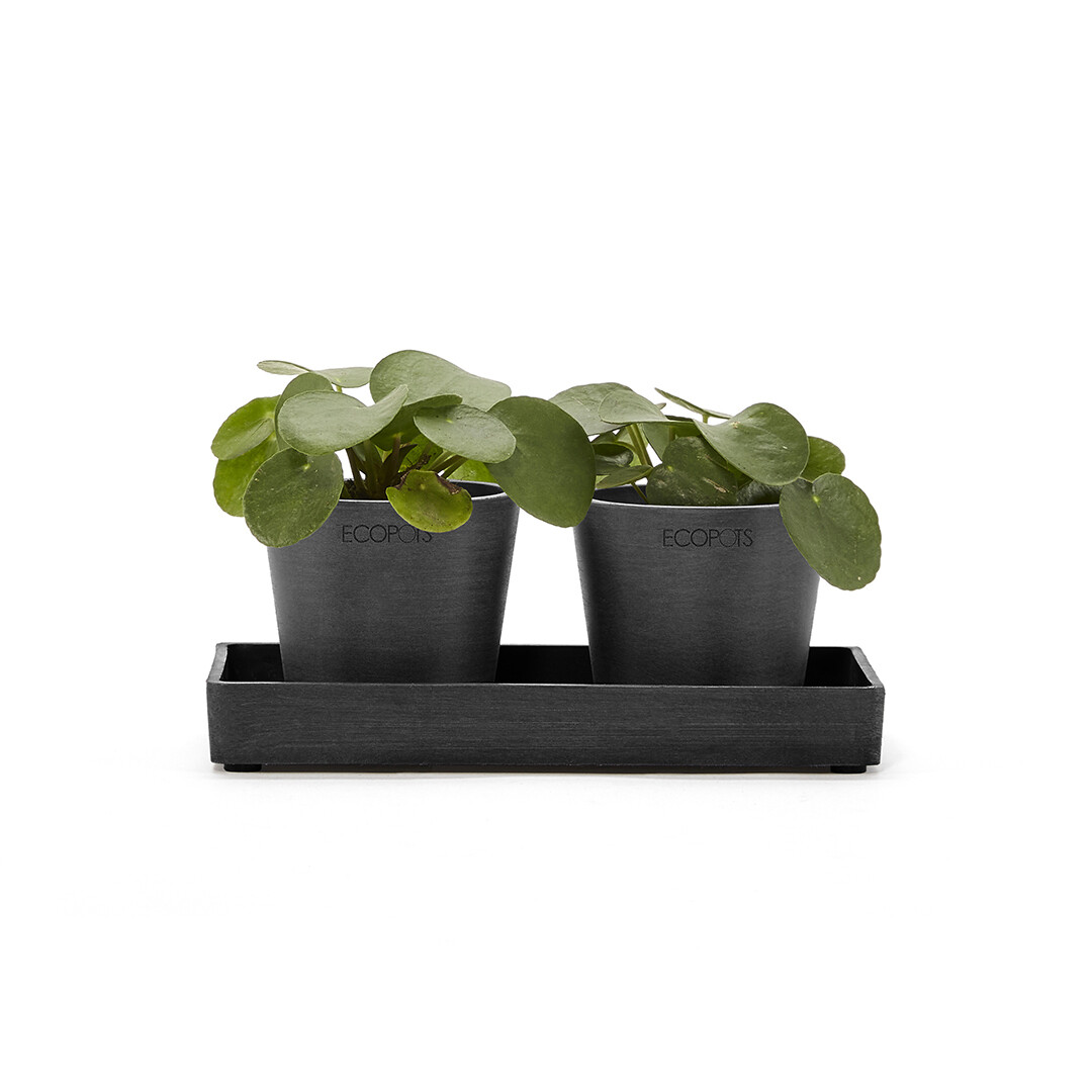 Ecopots Display Platter Amsterdam Mini 20 Dark Grey