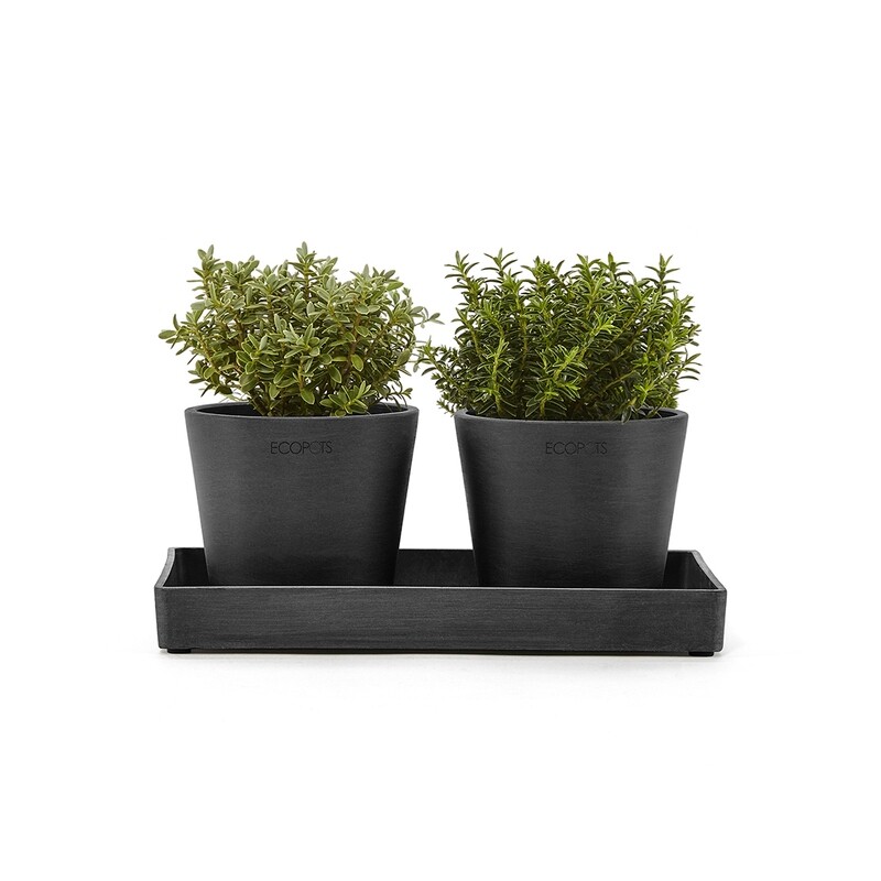 Ecopots Display Platter Amsterdam Mini 25 Dark Grey