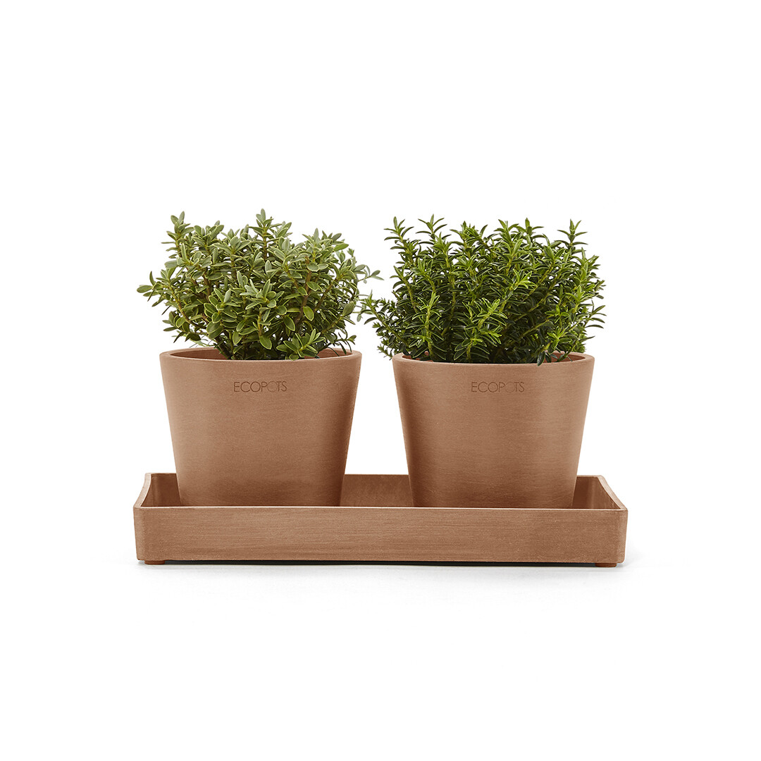Ecopots Display Platter Amsterdam Mini 25 Terracotta