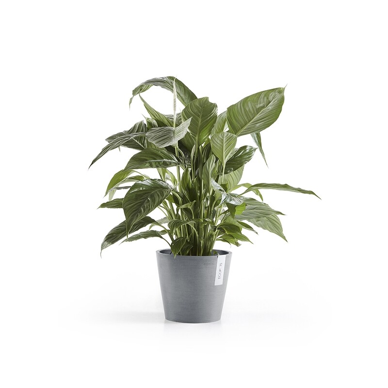Ecopots Amsterdam 20 Blue Grey