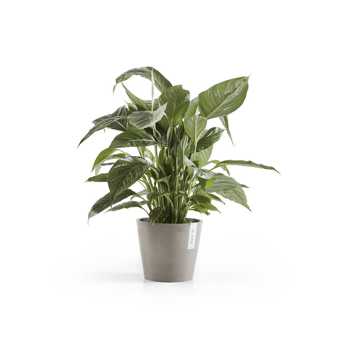 Ecopots Amsterdam 20 Taupe