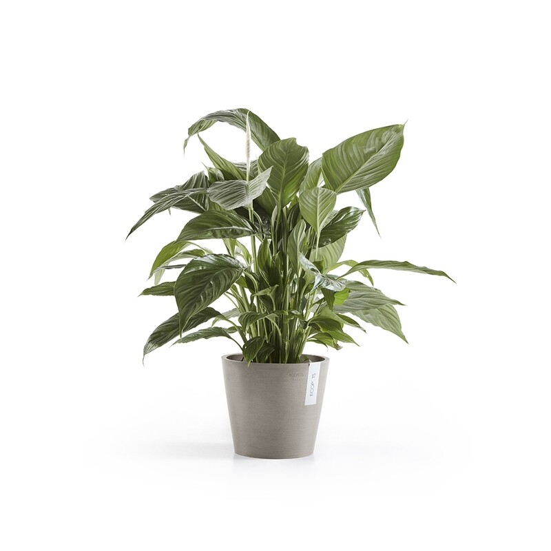 Ecopots Amsterdam 20 Taupe