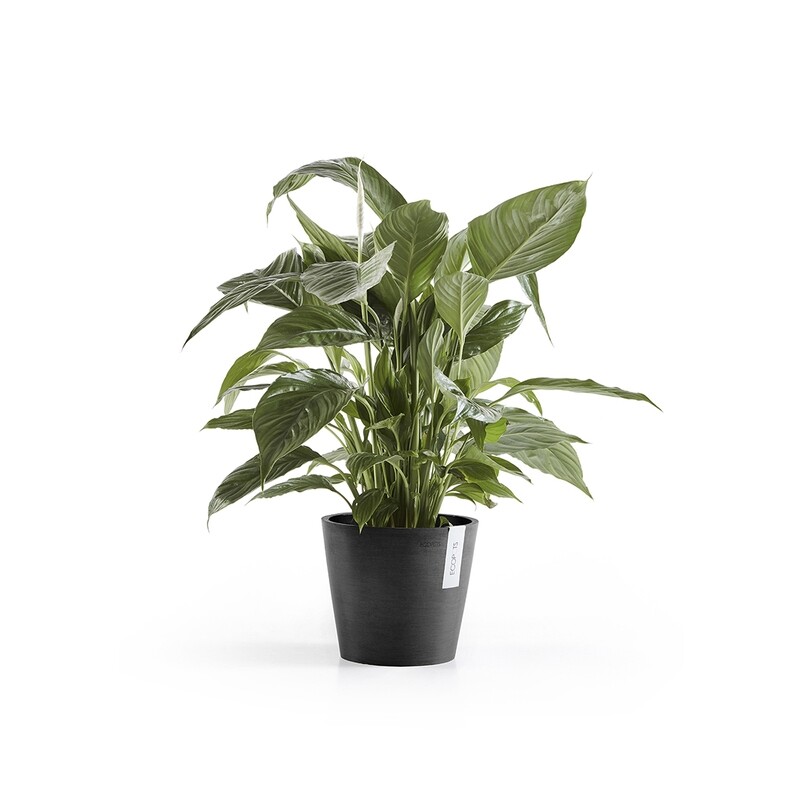 Ecopots Amsterdam 20 Dark Grey