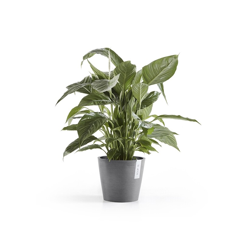 Ecopots Amsterdam 20 Grey