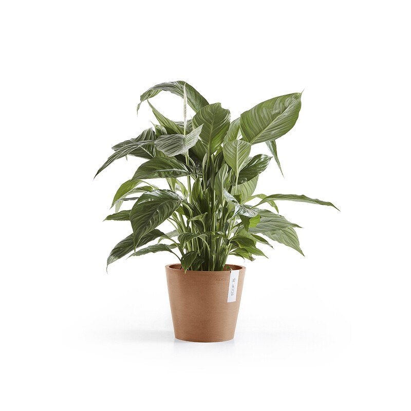 Ecopots Amsterdam 20 Terracotta + water reservoir