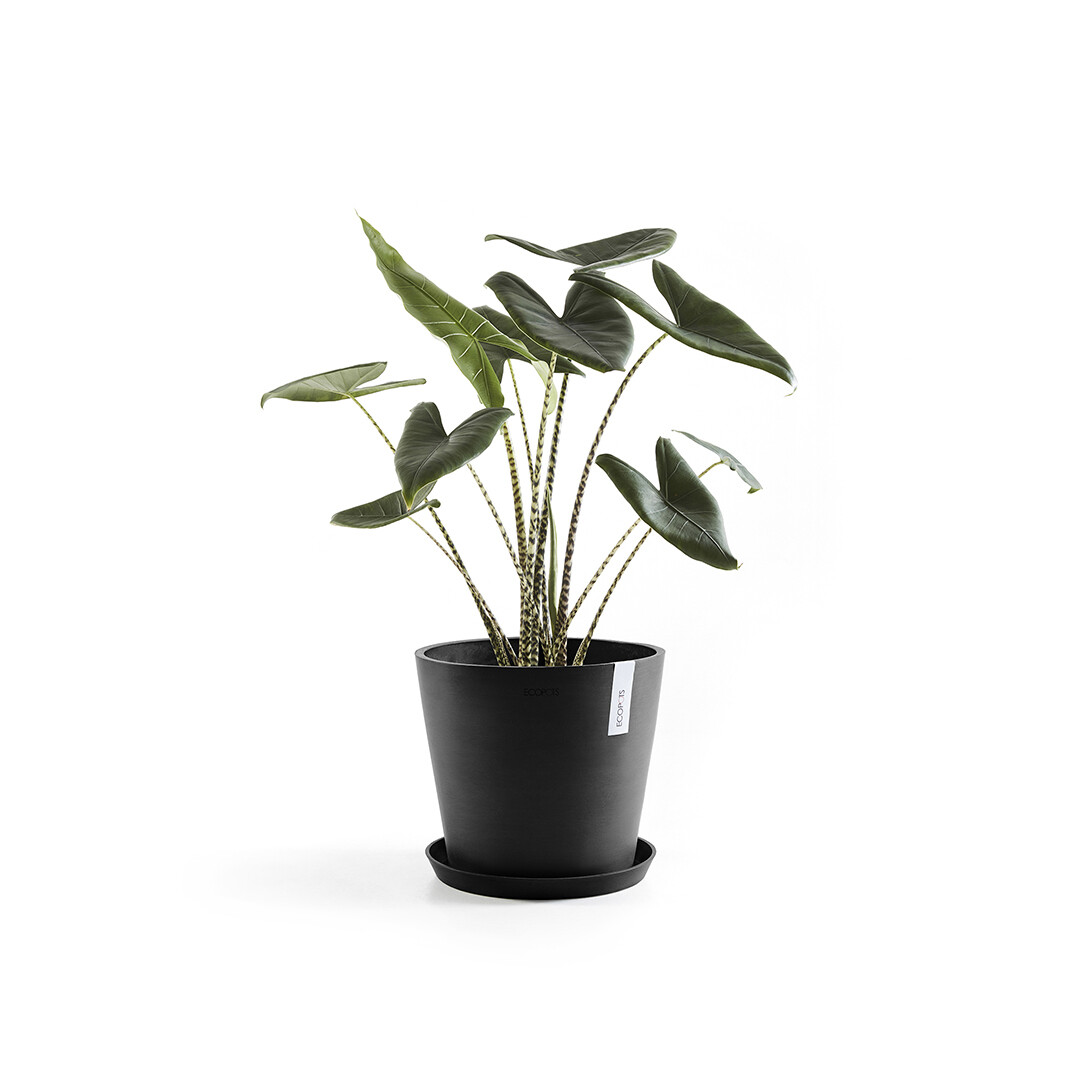 Ecopots Amsterdam 30 Dark Grey + Saucer Round 30 Dark Grey