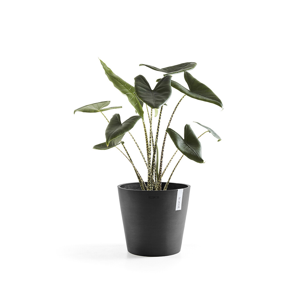 Ecopots Amsterdam 30 Dark Grey