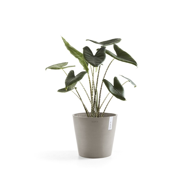 Ecopots Amsterdam 30 Taupe