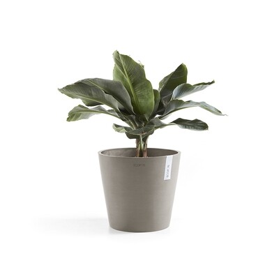 Ecopots Amsterdam 40 Taupe + water reservoir