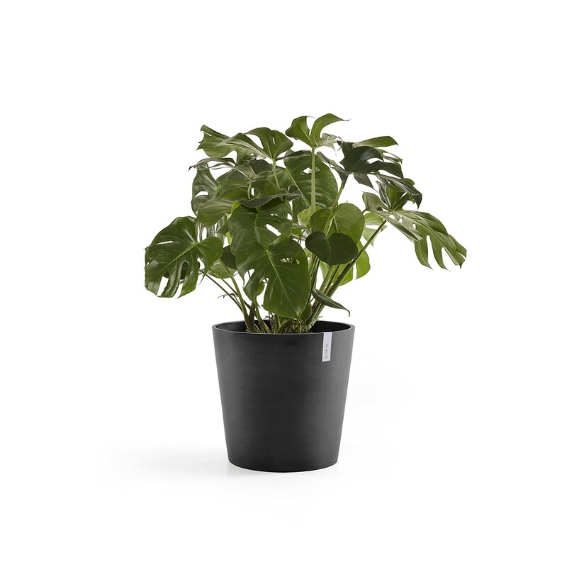 Ecopots Amsterdam 50 Dark Grey