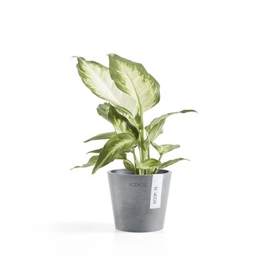 Ecopots Amsterdam Mini 10,5 Blue Grey