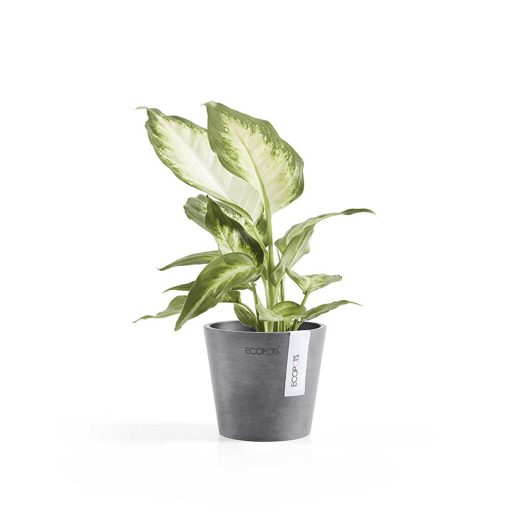 Ecopots Amsterdam Mini 10,5 Grey