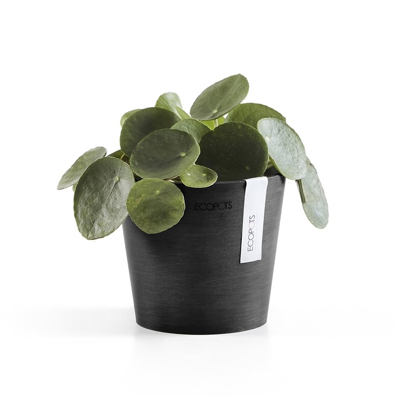 Ecopots Amsterdam Mini 13 Dark Grey