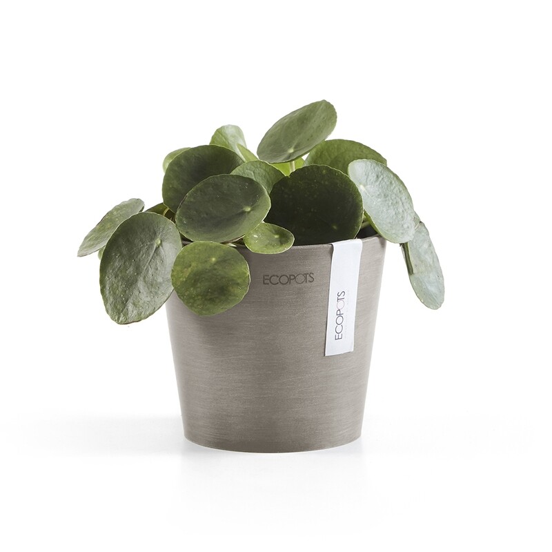 Ecopots Amsterdam Mini 13 Taupe