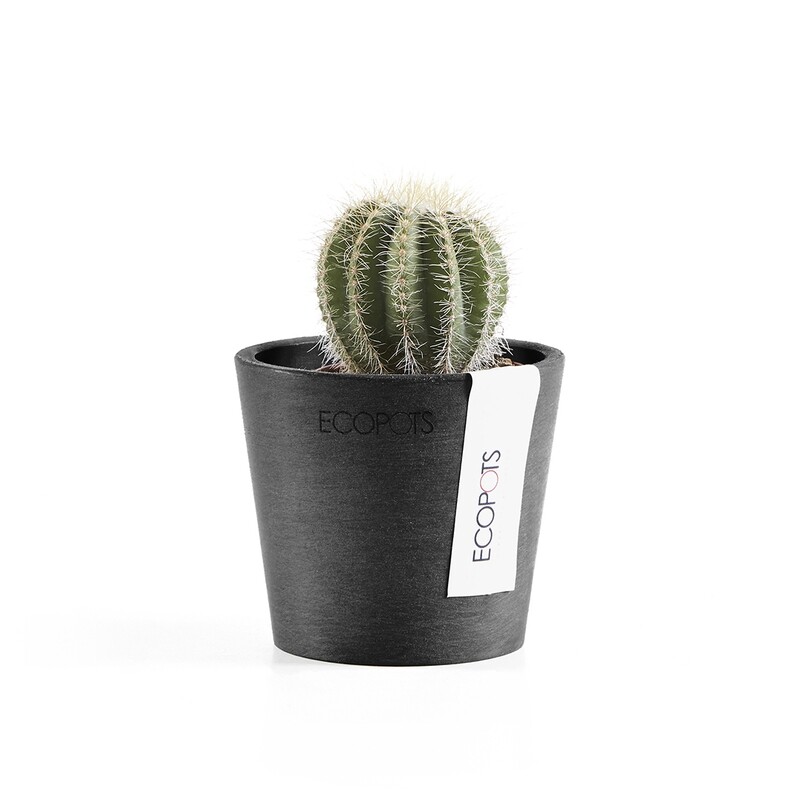 Ecopots Amsterdam Mini 8 Dark Grey