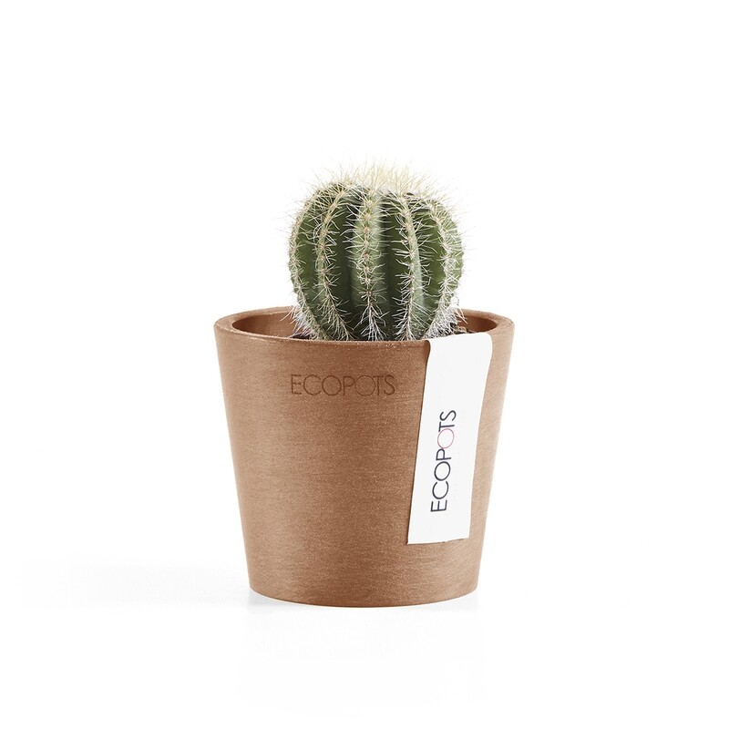 Ecopots Amsterdam Mini 8 Terracotta