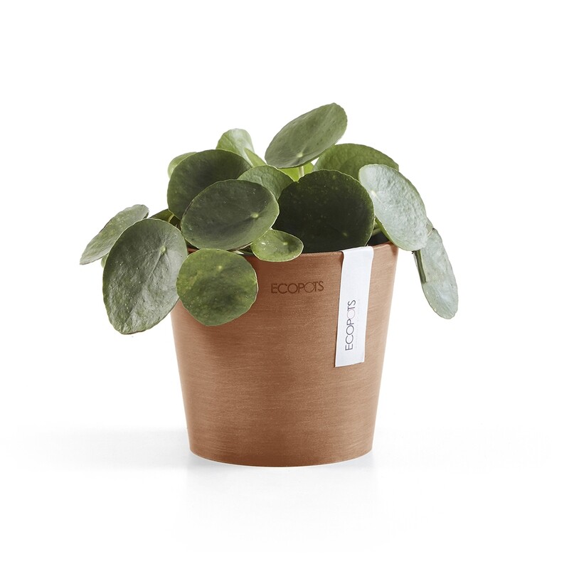 Ecopots Amsterdam Mini 13 Terracotta