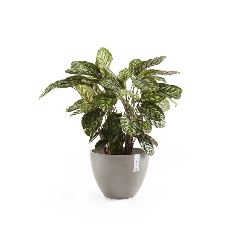 Ecopots Antwerp 30 Taupe