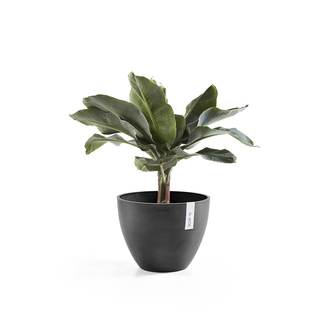 Ecopots Grey 50 Dark Antwerp