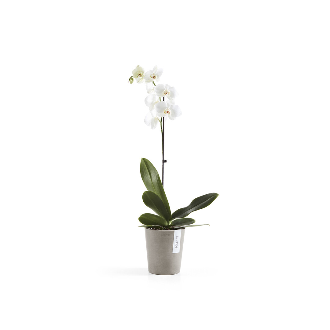 Ecopots Morinda 14 Taupe