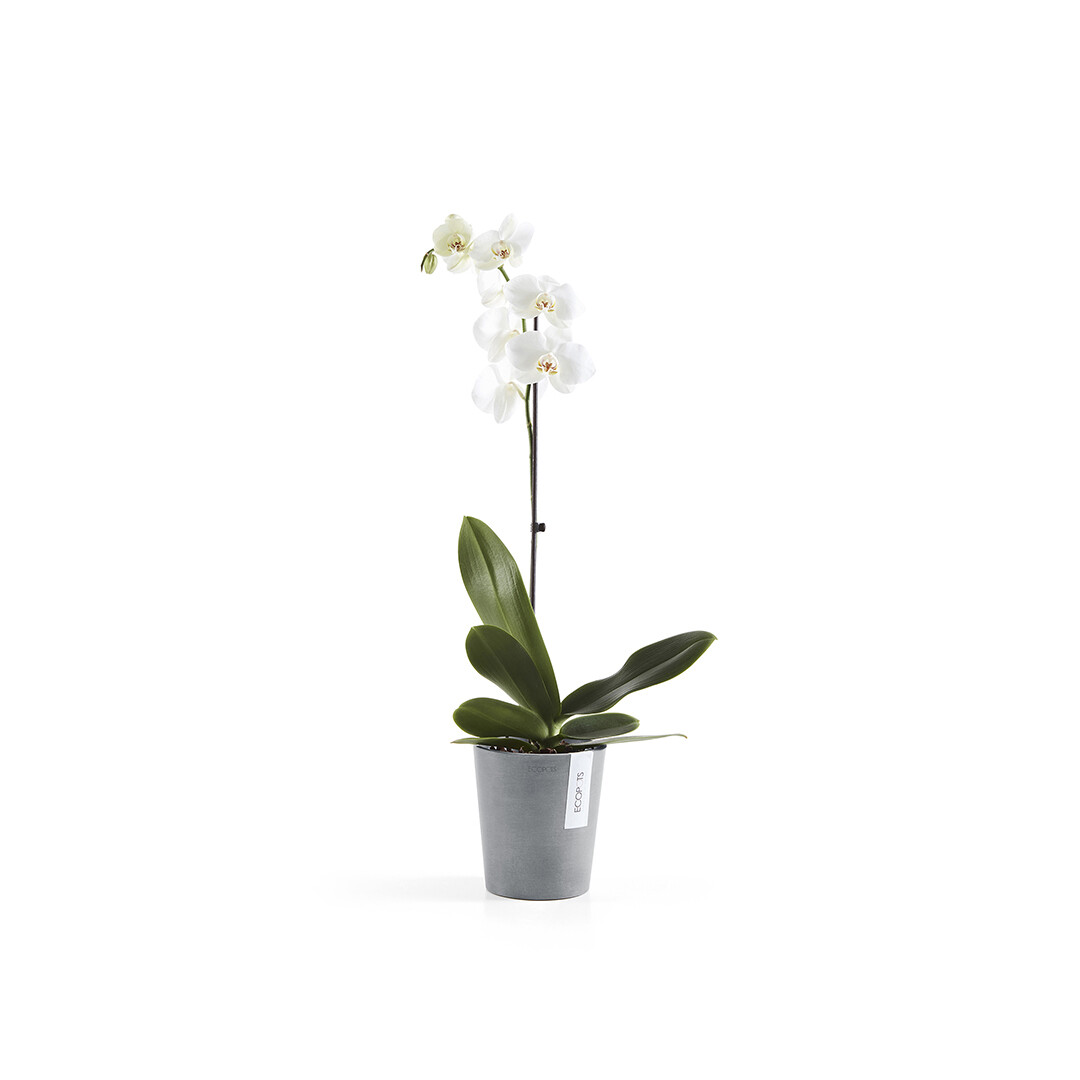 Ecopots Morinda 14 Blue Grey
