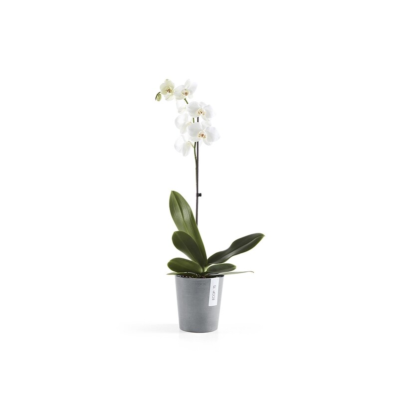 Ecopots Morinda 14 Blue Grey