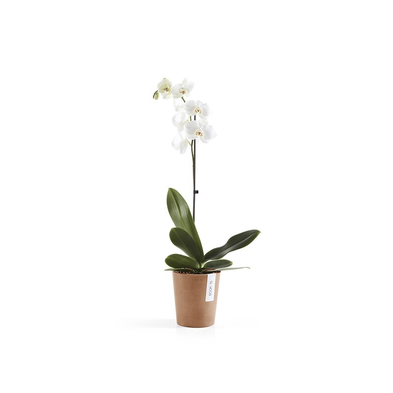 Ecopots Morinda 14 Terracotta