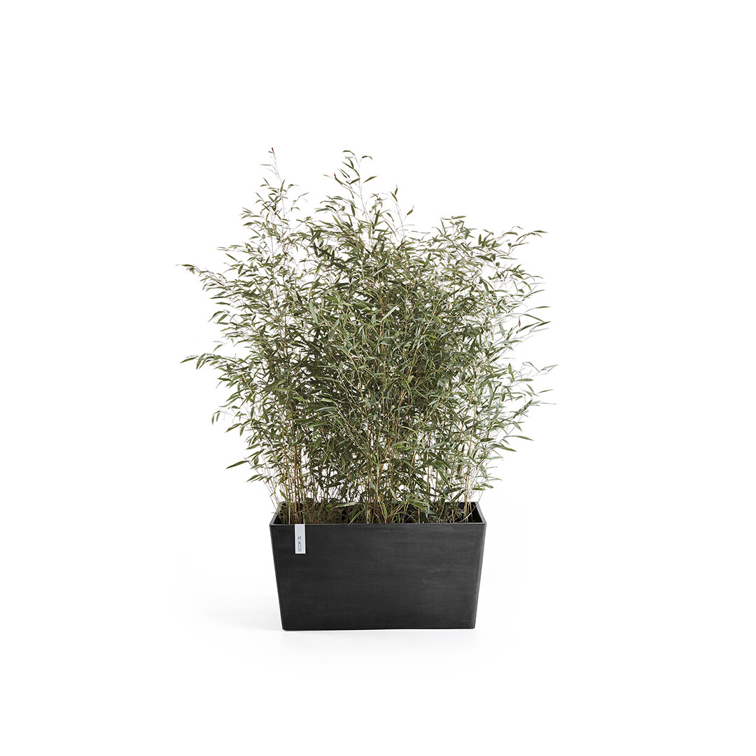 Ecopots Paris 80 Dark Grey