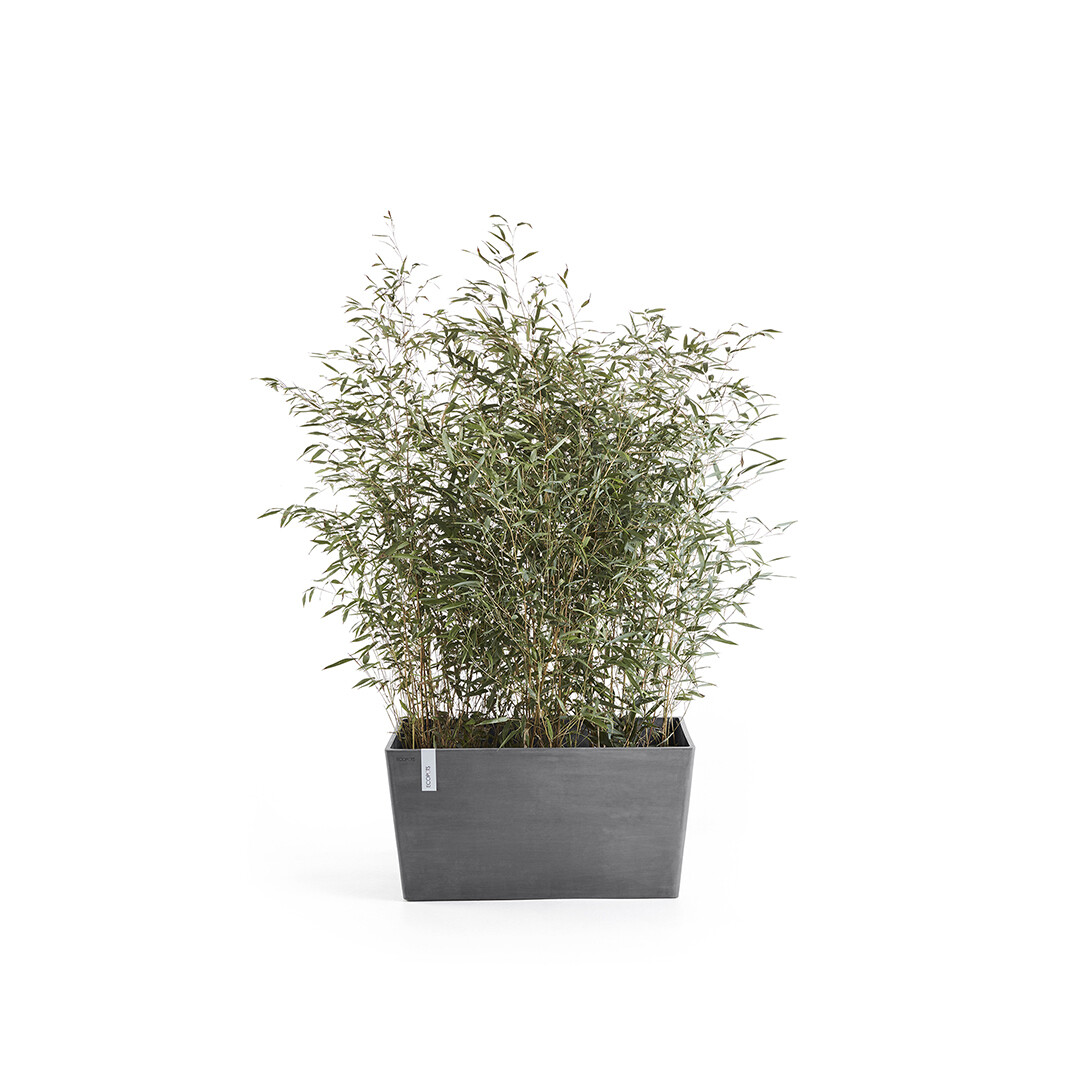 Ecopots Paris 60 Grey