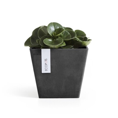 Ecopots Rotterdam 20 Dark Grey